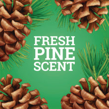 Load image into Gallery viewer, CloroxPro PINESOL Multi-Surface Cleaner, Original Scent, 80 oz. - 3/CS (60606)