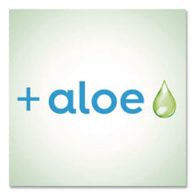 Load image into Gallery viewer, Dial Professional Original Antibacterial Defense Foaming Hand Soap, 10 oz. - 8/CS (35446)