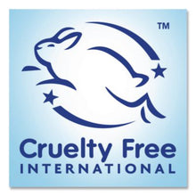 Load image into Gallery viewer, Dial Professional Original Antibacterial Defense Foaming Hand Soap, 10 oz. - 8/CS (35446)