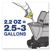 Load image into Gallery viewer, Spic & Span Bleach Floor Cleaner Packets, 2.2 oz. - 45/CS (02010)