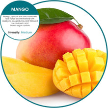 Load image into Gallery viewer, The Wave 3D Urinal Screen, Mango, 2 per Pack, 5 Packs per Box