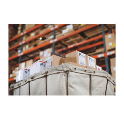 DYMO LabelWriter Shipping Labels, 4" x 6", White, 220/Roll (1744907)