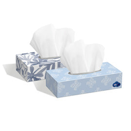 White Cloud Premium Facial Tissue, Flat Box, 100/Box - 30/CS (08924)